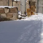 Gamirasu Oda ve Kahvaltı 4*