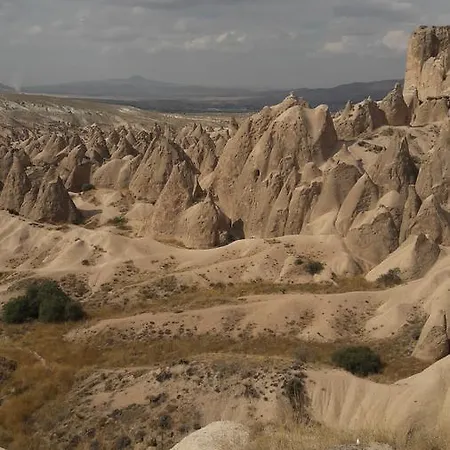 Gamirasu