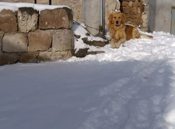 Gamirasu ベッド・アンド・ブレックファスト 4*